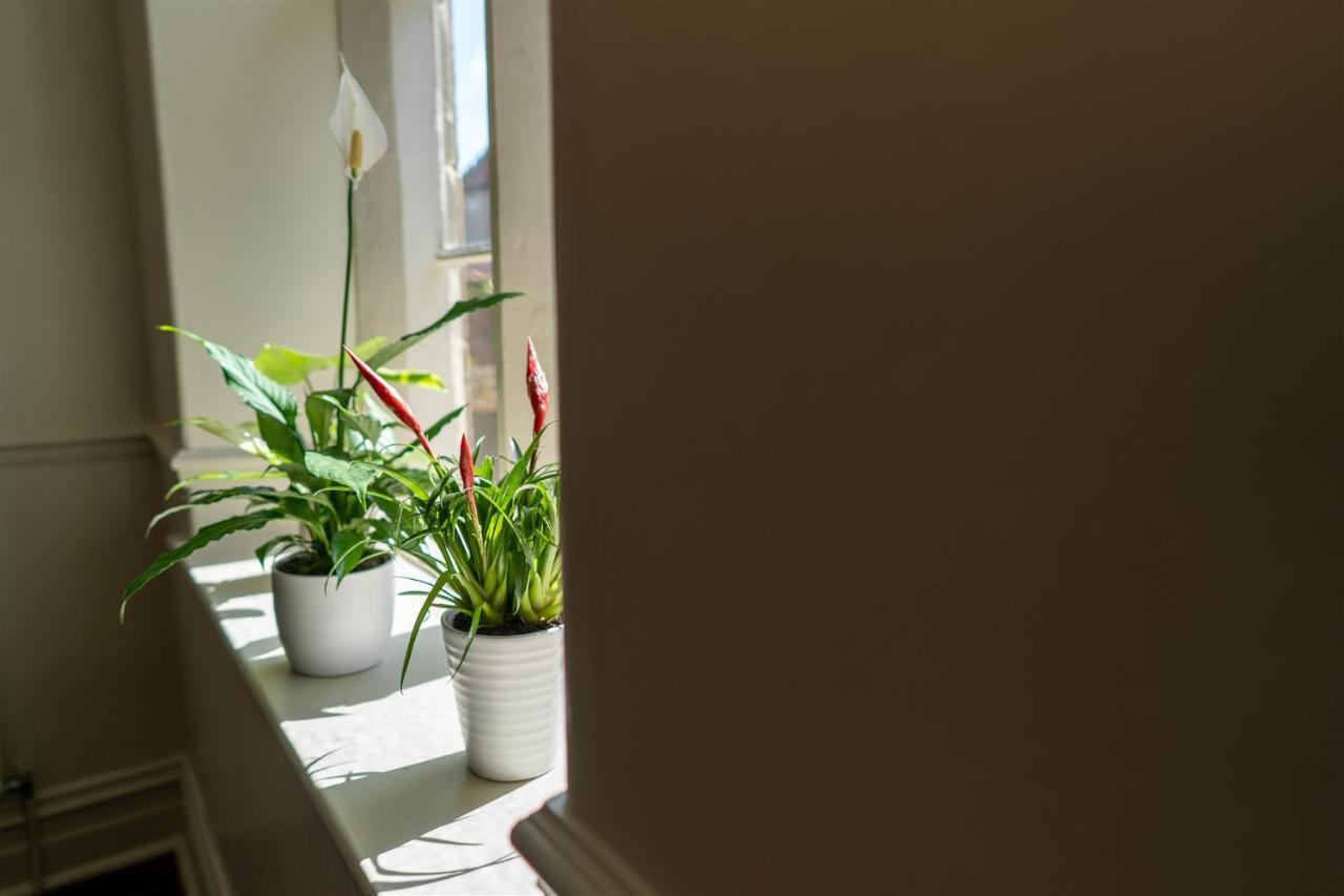 Ruswarp Hall - (adults Only) Gasthuis 4*